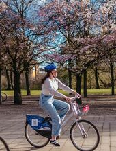 Two people using hired bikes to enjoy cycling around Glasgow Green with cherry blossom trees in the background.