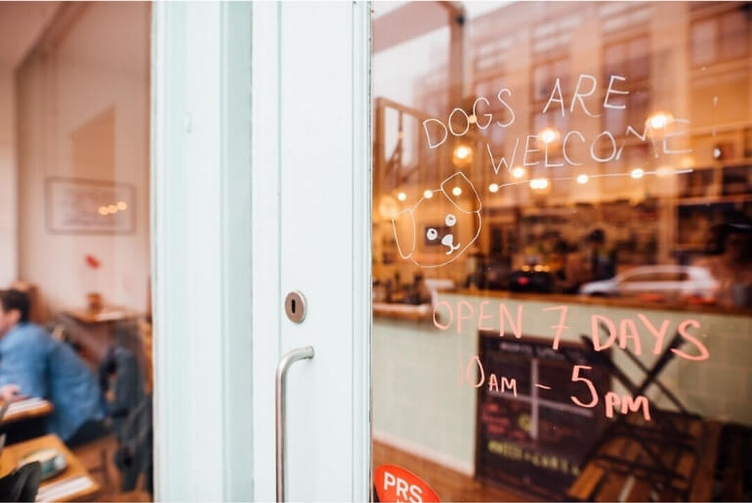 the glass door of a cafe with the words 'dogs are welcome' written on the glass