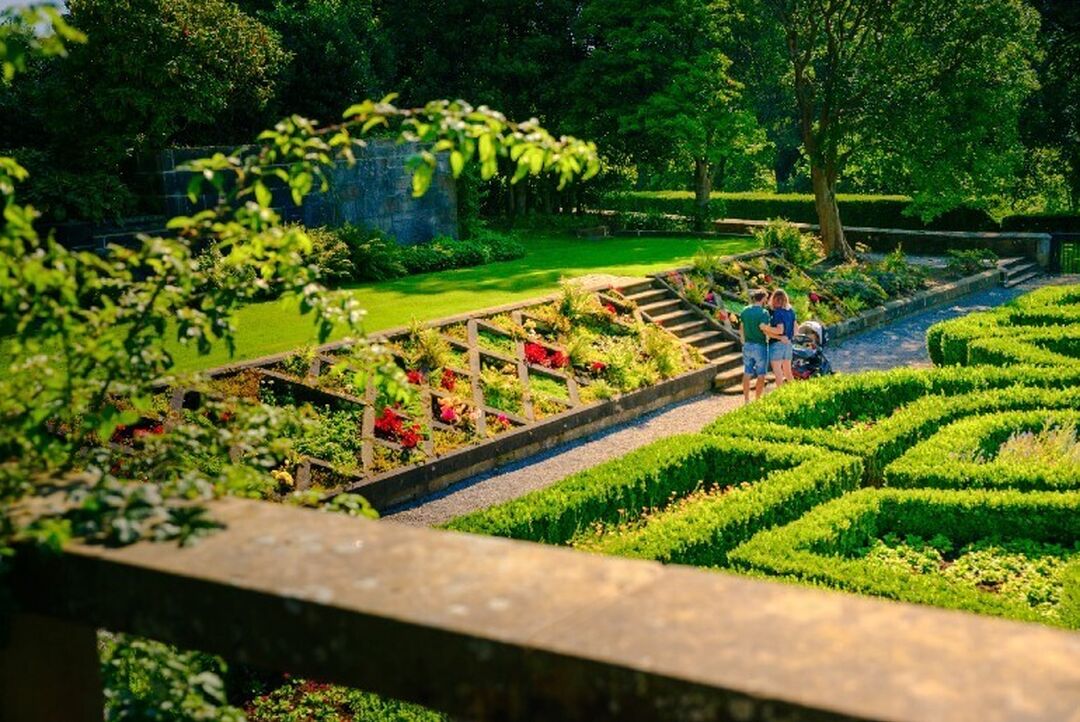 Two people with a pram admire flowerbeds which are in bloom beside a low hedge maze.