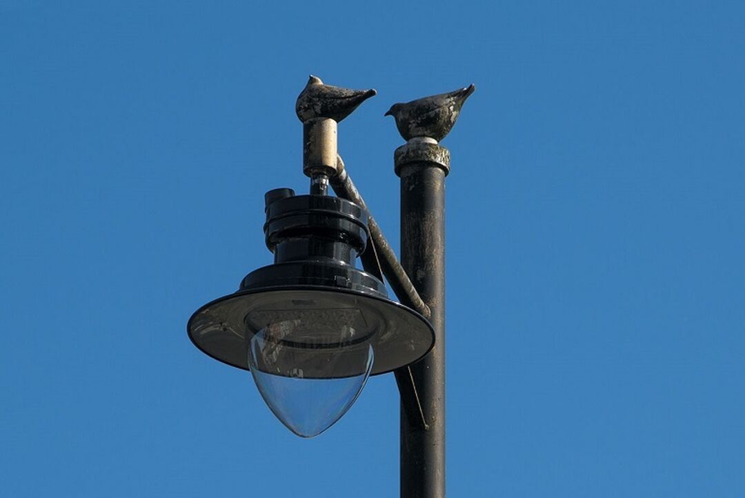 Chookie Burdies sculpture showing two birds sitting on top of a lamppost against a blue sky.