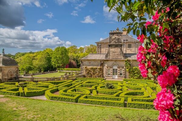 An Edwardian style manor house sits behind a low hedge maze and bright pink rhododendron bush in bloom.