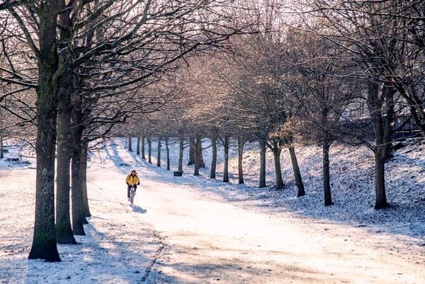 A cyclist braves it down a snowy pathway between two rows of leafless tress in a park.