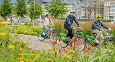 Four people cycling along a cycle path by the river. There is grass and flowers on one side and buildings across the water on the other side.